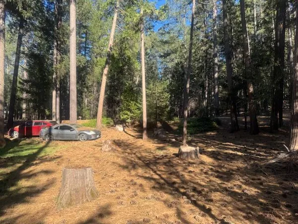 $110,000 | 30830 Thumper Drive, Shingletown, CA 96088