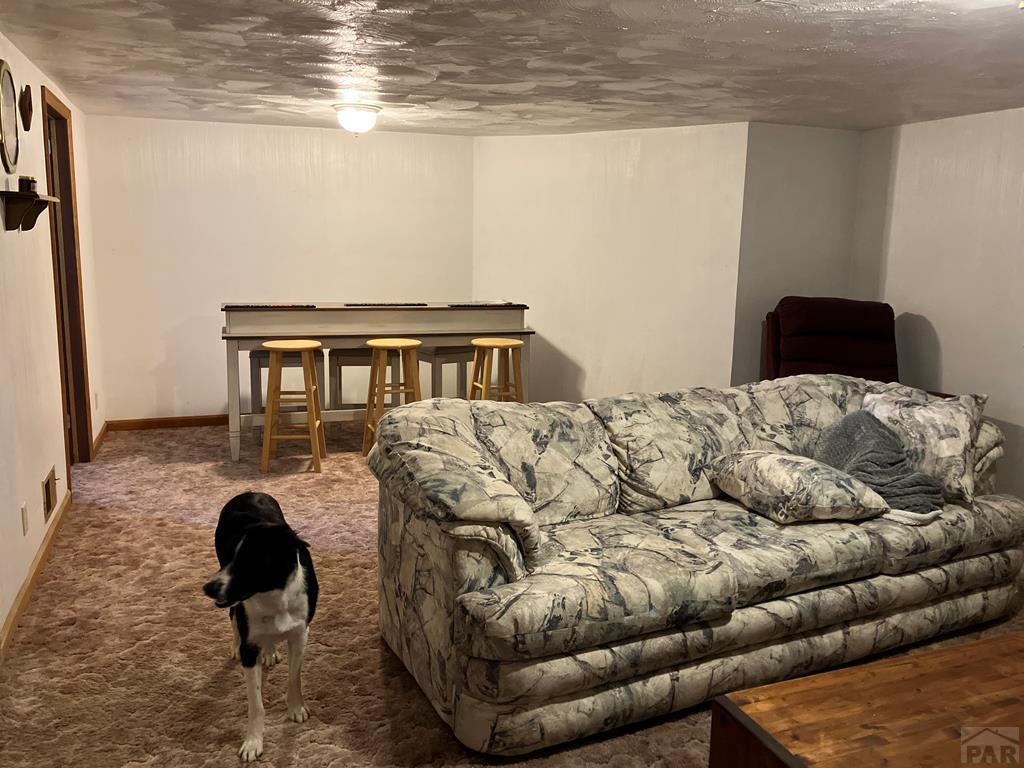 915 Maple Avenue La Junta, CO 81050 - Photo 25 of 34 a living room with furniture and a rug