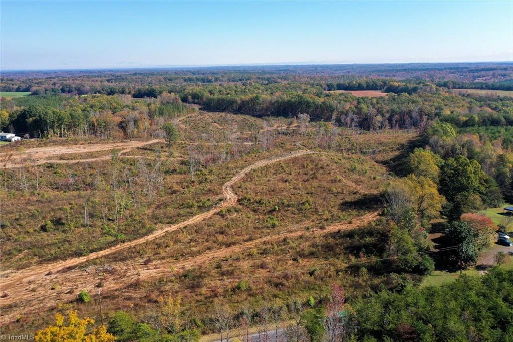 0 Cannon Road Ruffin, NC 27326 - Photo 4 of 4
