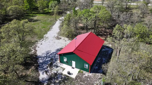 a view of a forest with a tree