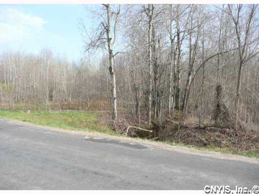 0 Lilly Marsh Road Mexico, NY 13114 - Photo 1 of 1 Exterior Front