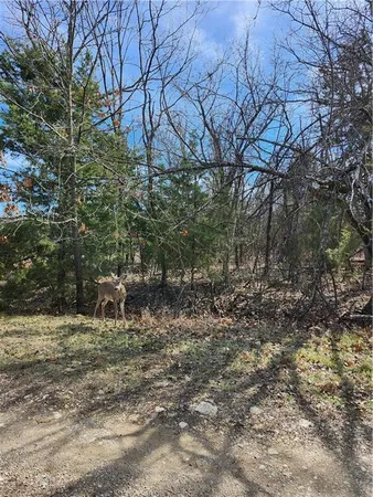 $13,500 | 10 Scenic Valley Drive, Linn Valley, KS 66040