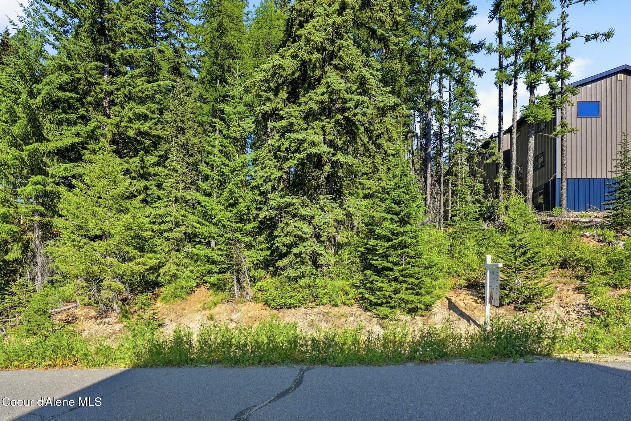 Nka Snowplow Road Sandpoint, ID 83864 - Photo 4 of 16 4