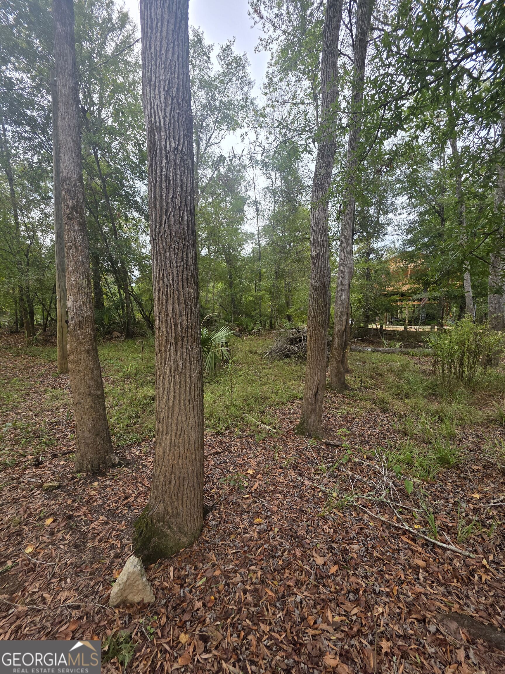 0 Morris Landing Road Baxley, GA 31513 - Photo 6 of 6 Gallery Image 6