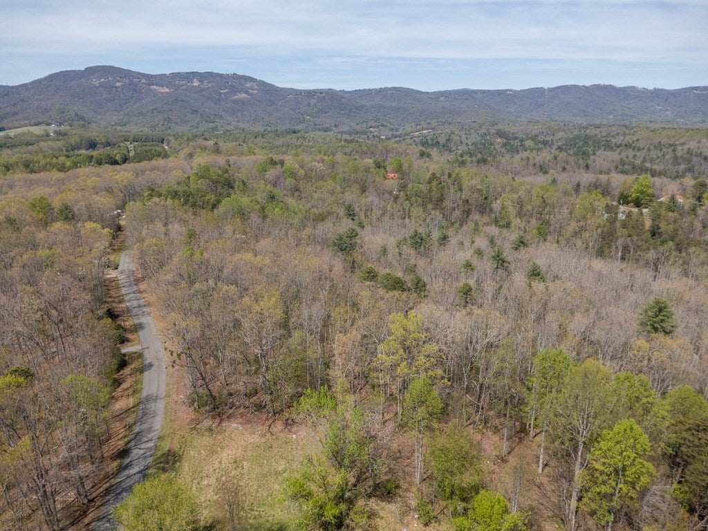 Tbd Meadowbrook Road, Unit 15481 Cana, VA 24317 - Photo 22 of 24 Gallery Image 22