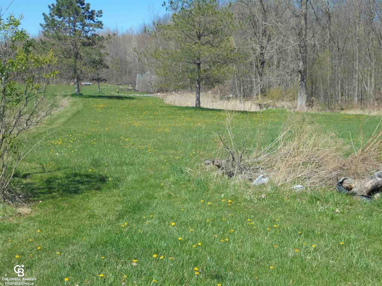 11250 Rose Road Emmett, MI 48022 - Photo 19 of 37 50039858-18.JPG