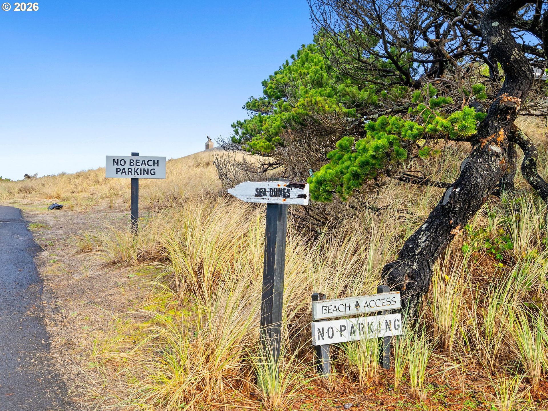 10 Big Tree Road Gleneden Beach, OR 97388 - Photo 42 of 48 a sign board with tall trees