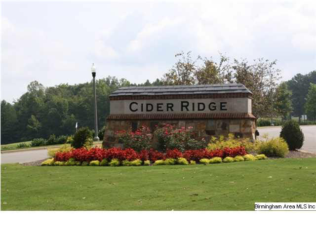153 Puttenum Way Oxford, AL 36203 - Photo 23 of 23