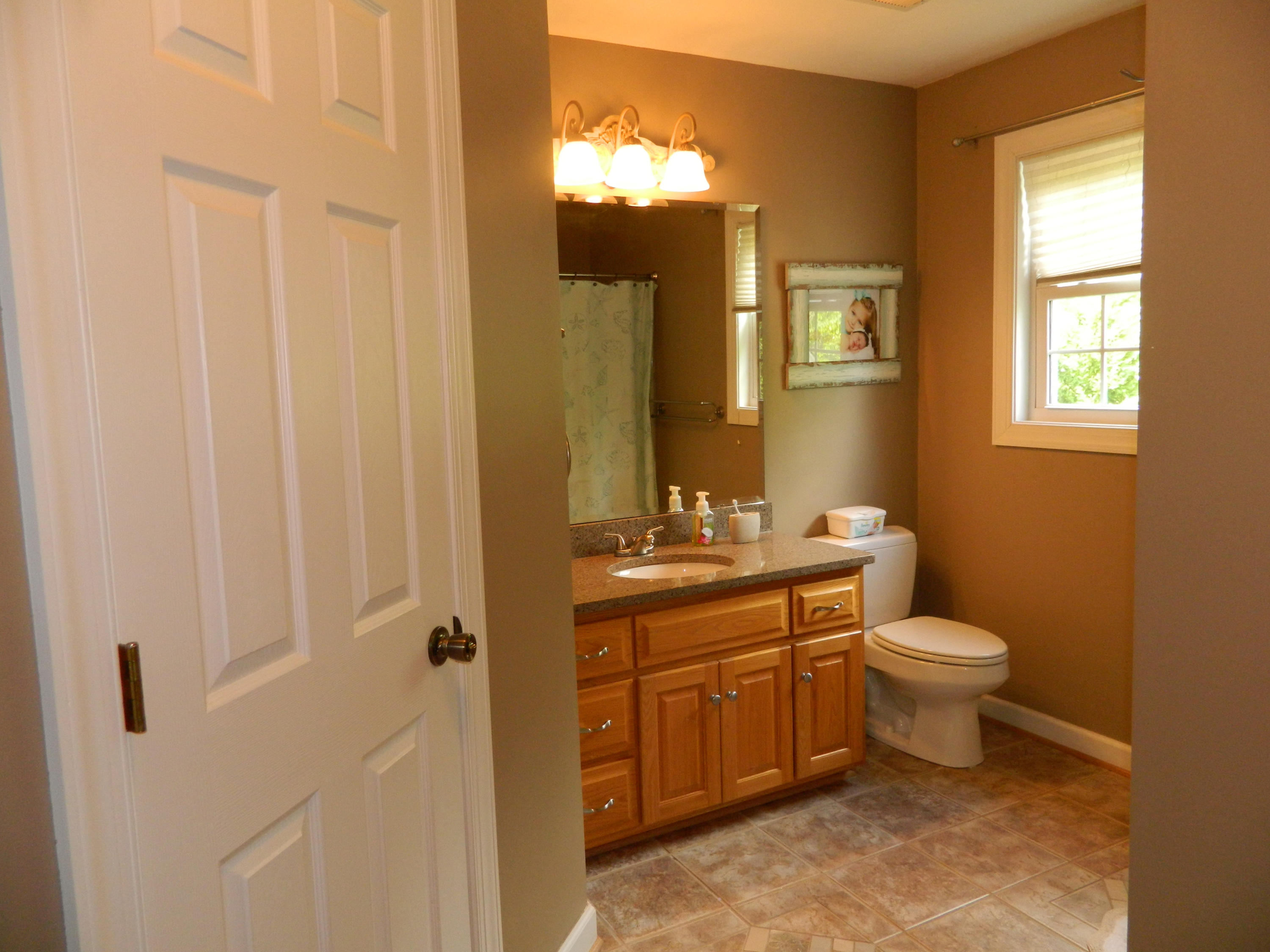 75 Cobblestone Drive Blue Ridge, VA 24064 - Photo 32 of 60 a bathroom with a toilet a sink and mirror