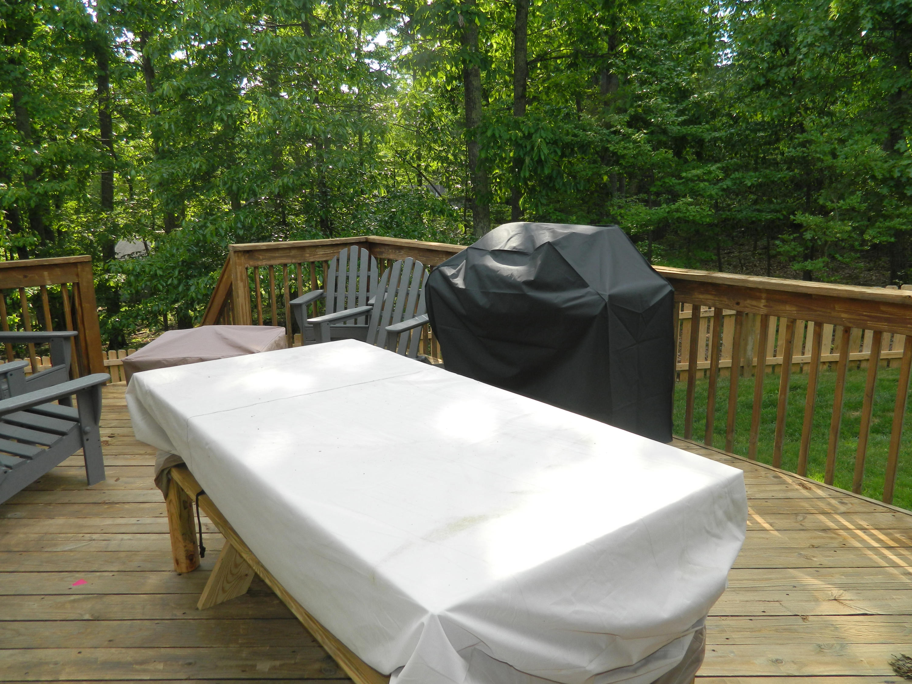 75 Cobblestone Drive Blue Ridge, VA 24064 - Photo 46 of 60 Deck