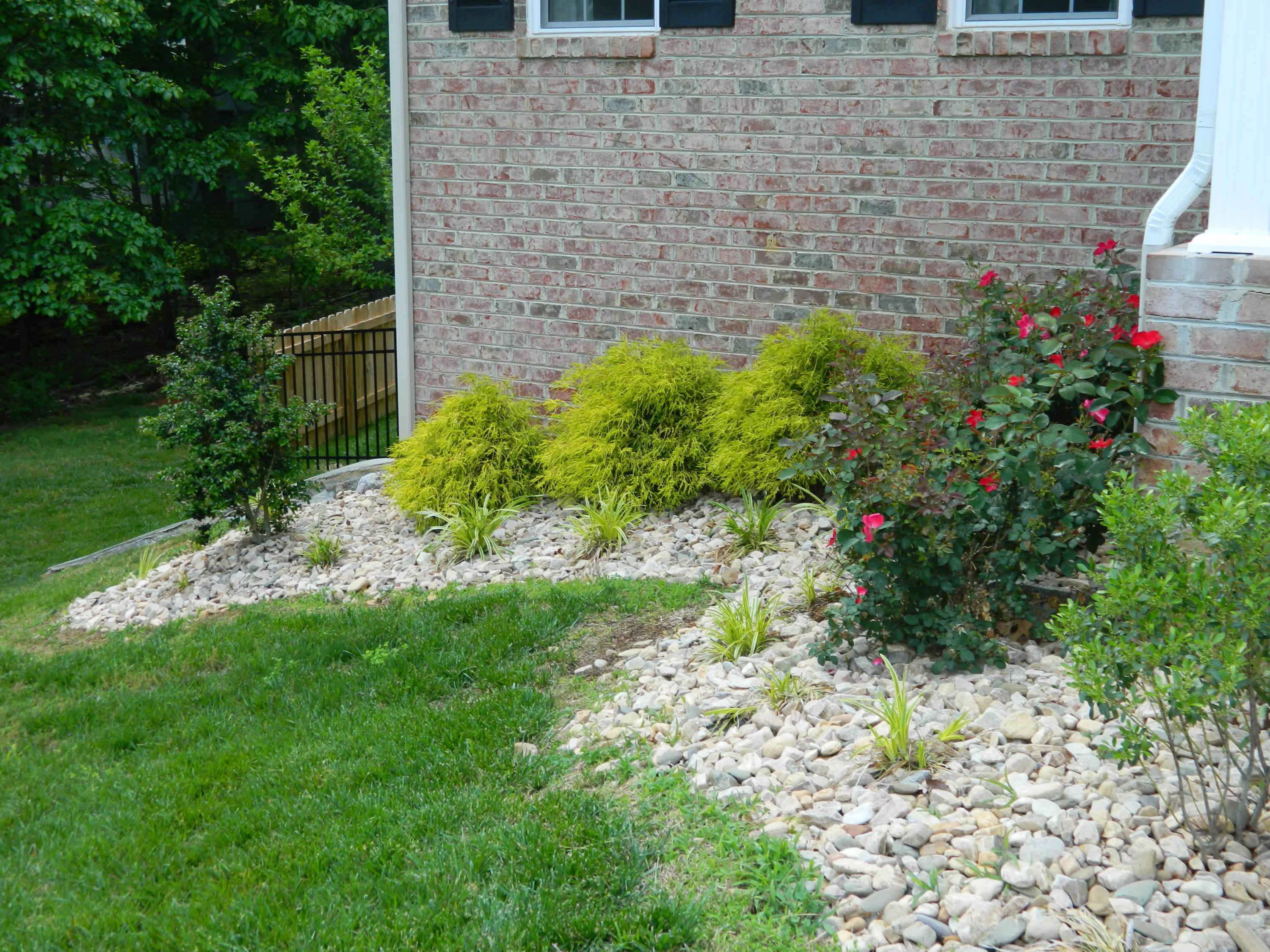 75 Cobblestone Drive Blue Ridge, VA 24064 - Photo 58 of 60 a view of a garden with plants and large trees