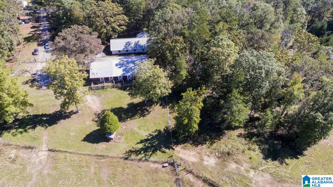 20505 Highway 55 Sterrett, AL 35147 - Photo 11 of 15