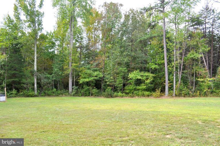 2220 Partlow Road Beaverdam, VA 23015 - Photo 18 of 24 a view of a garden with trees