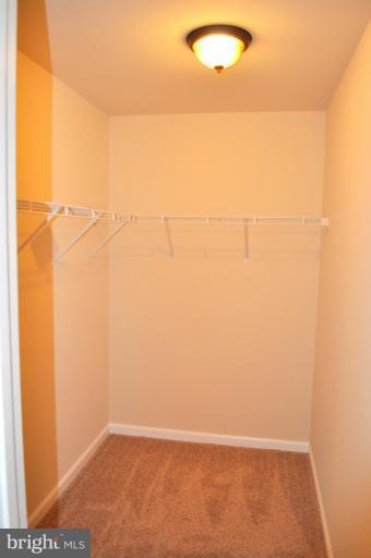 2220 Partlow Road Beaverdam, VA 23015 - Photo 23 of 24 a view of a small space