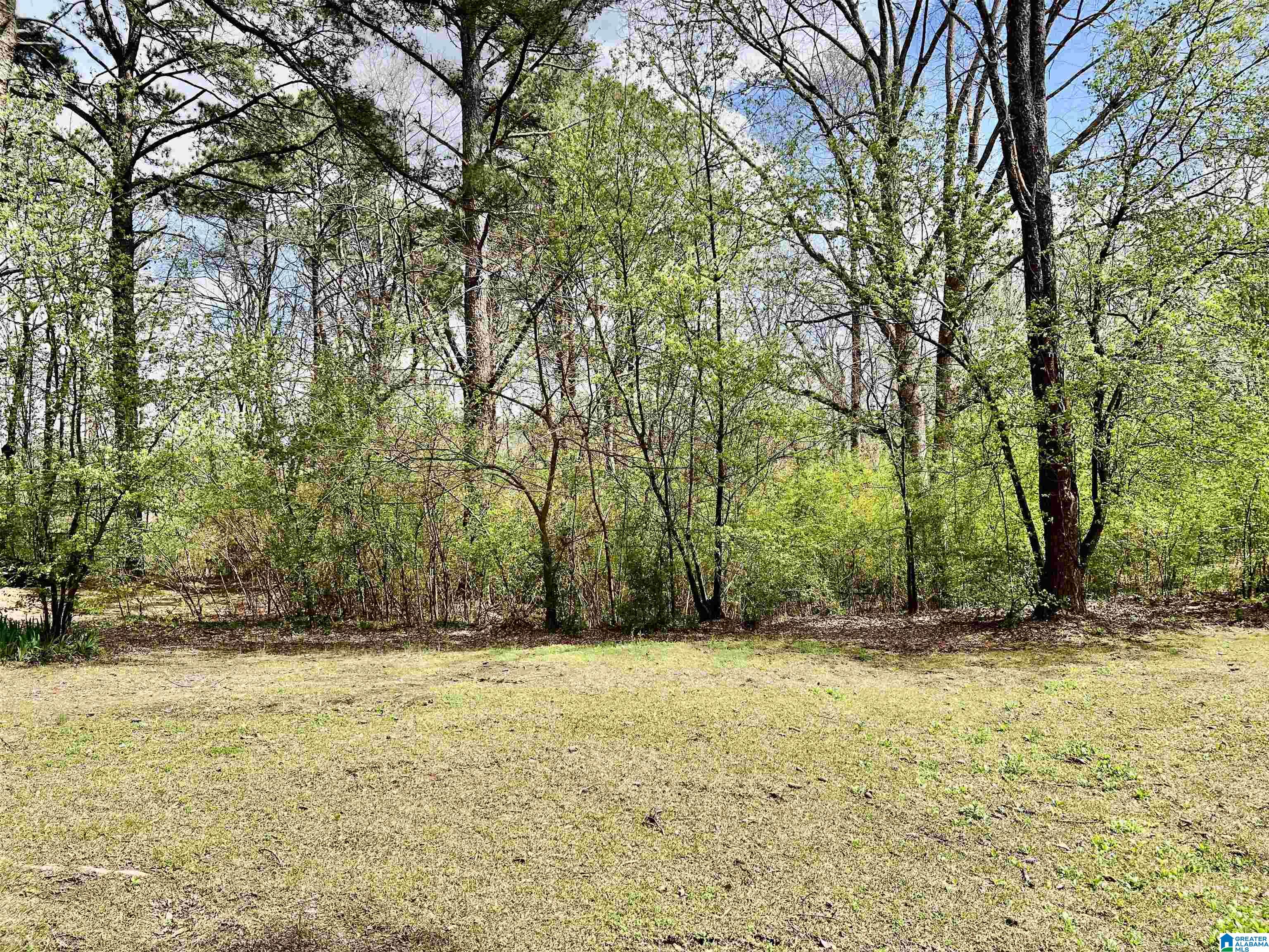 5609 Mckinney Road Mount Olive, AL 35117 - Photo 23 of 24