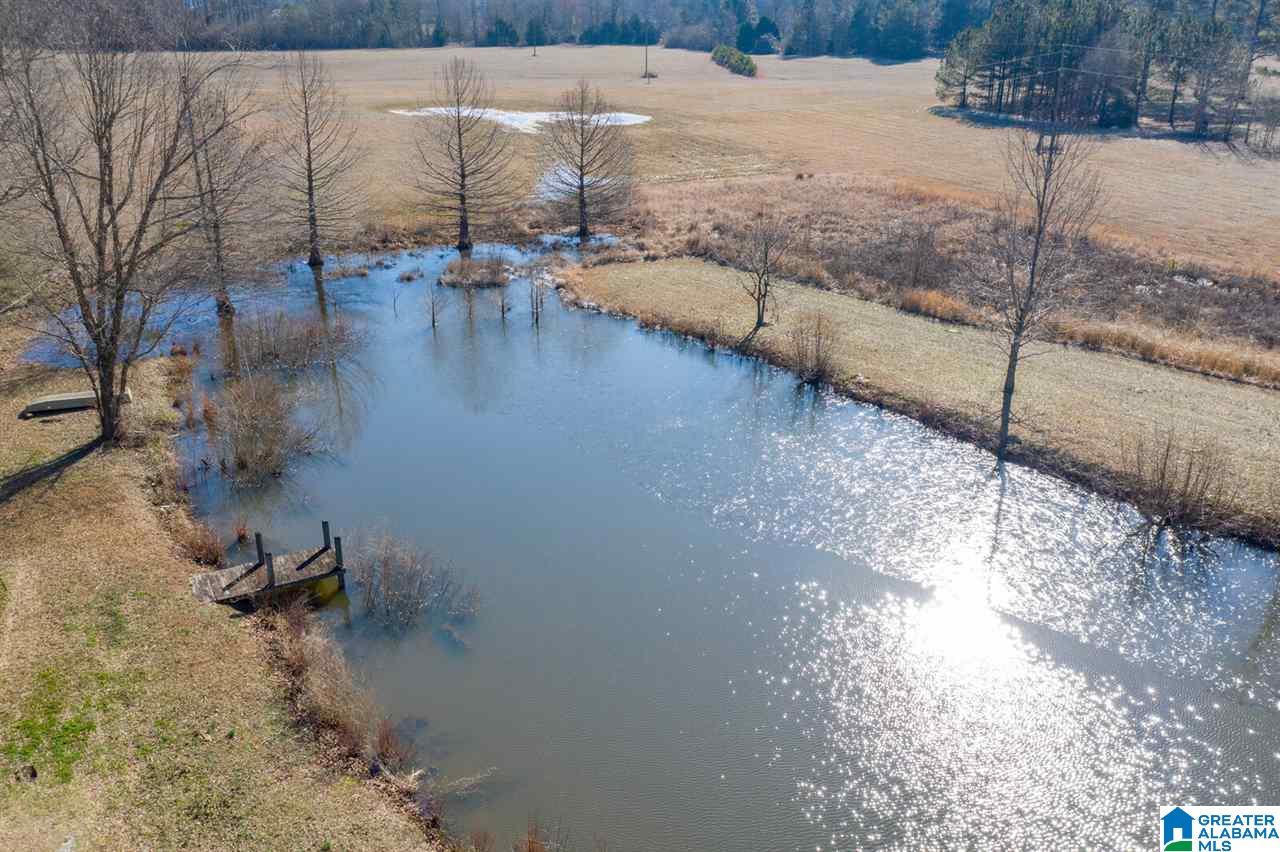 11218 Vance Blocton Road Vance, AL 35490 - Photo 18 of 37