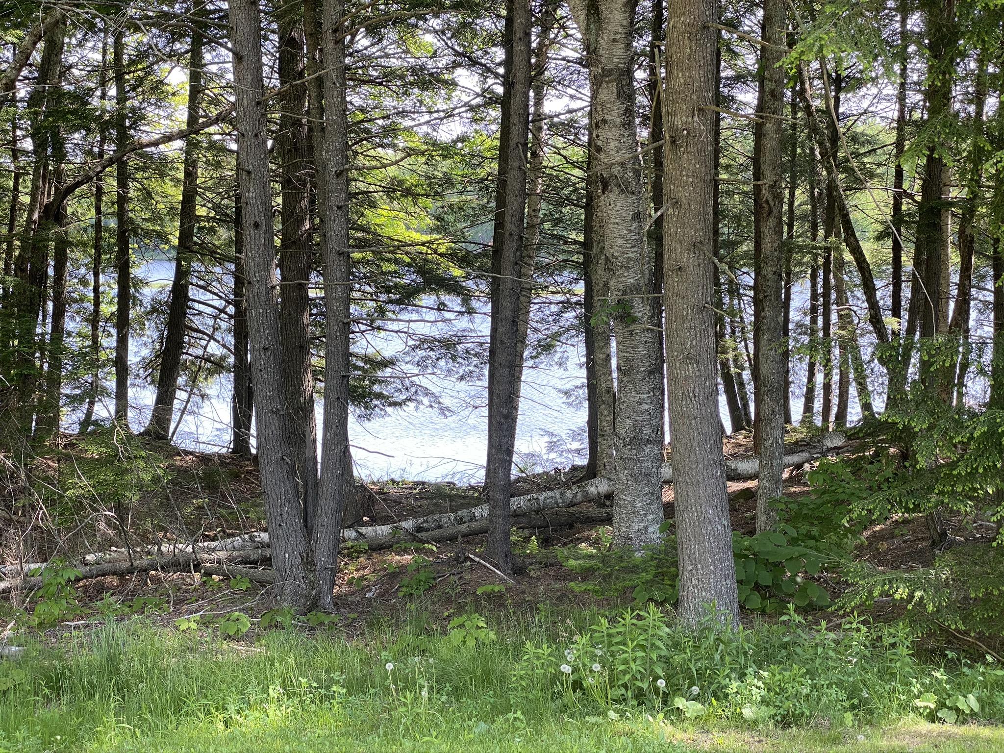 499 Orrin Road Mariaville, ME 04605 - Photo 9 of 36 IMG_1001