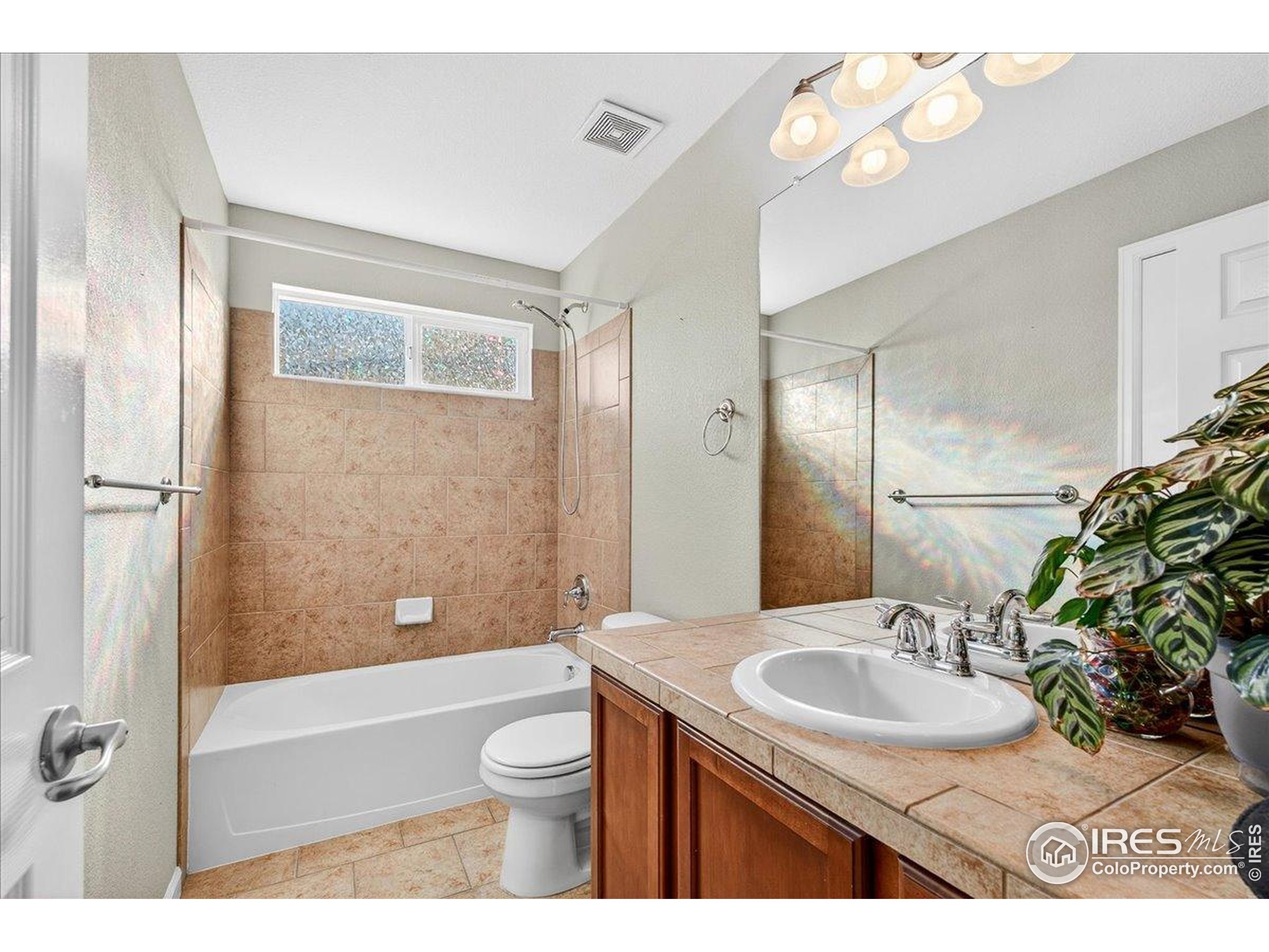 210 Saxony Road Johnstown, CO 80534 - Photo 20 of 34 a bathroom with a sink a toilet and shower