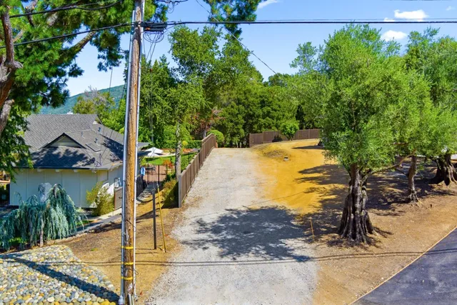 a view of a water fountain and a tree