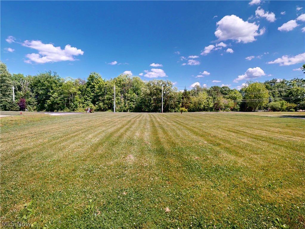 12395 Winchell Road Painesville, OH 44077 - Photo 42 of 46 1.21 acres land