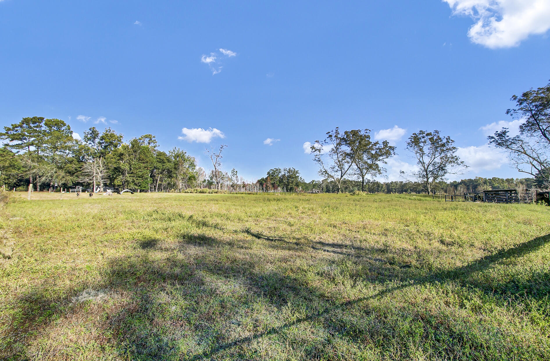 962 Quaker Road St. George, SC 29477 - Photo 60 of 62 (60)
