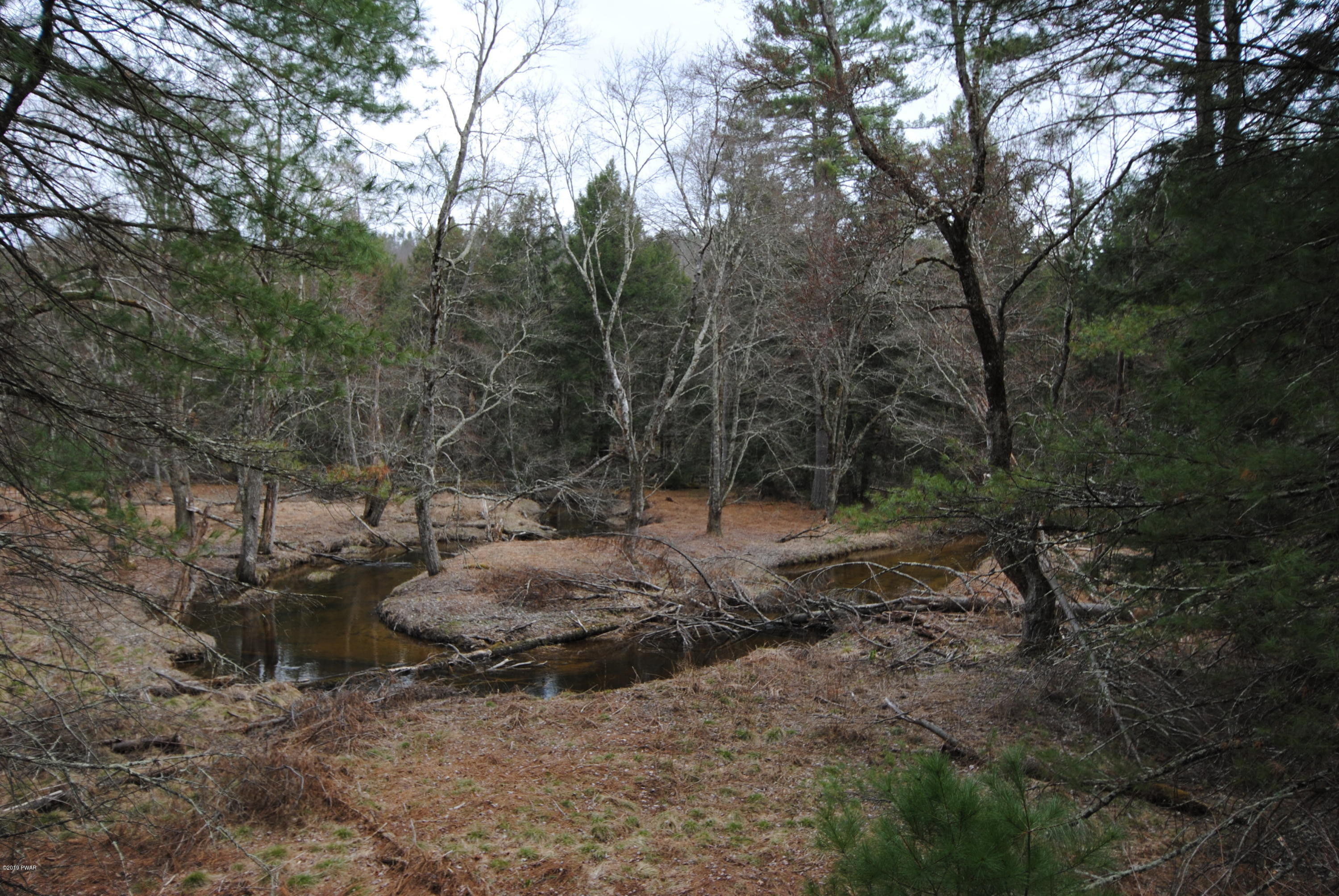 Swamp Pond Road Narrowsburg, NY 12764 - Photo 2 of 10