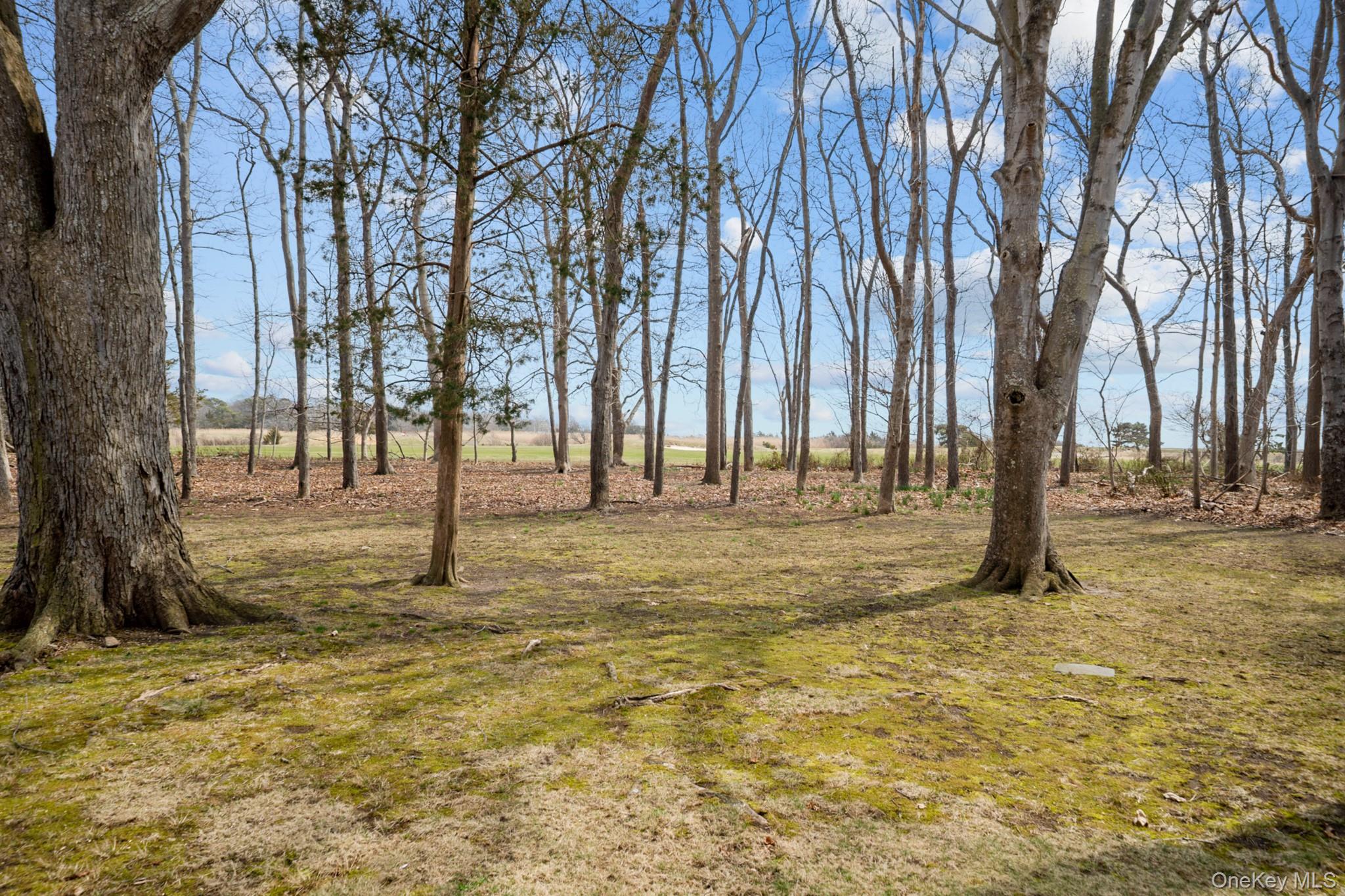 281 Woodacres Road East Patchogue, NY 11772 - Photo 4 of 11 Back portion of 1.25 acre yard overlooking Bellport Golf Course.