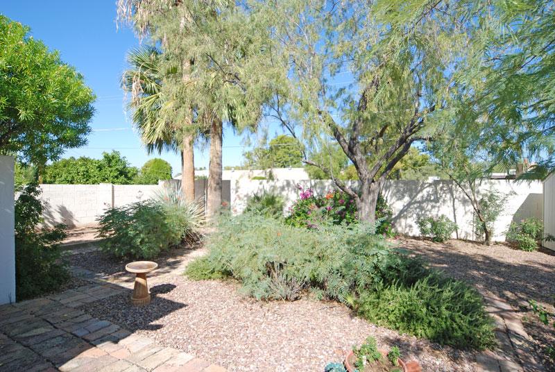 116 East Piping Rock Road Phoenix, AZ 85022 - Photo 12 of 13 ANOTHER VIEW OF BACK YARD