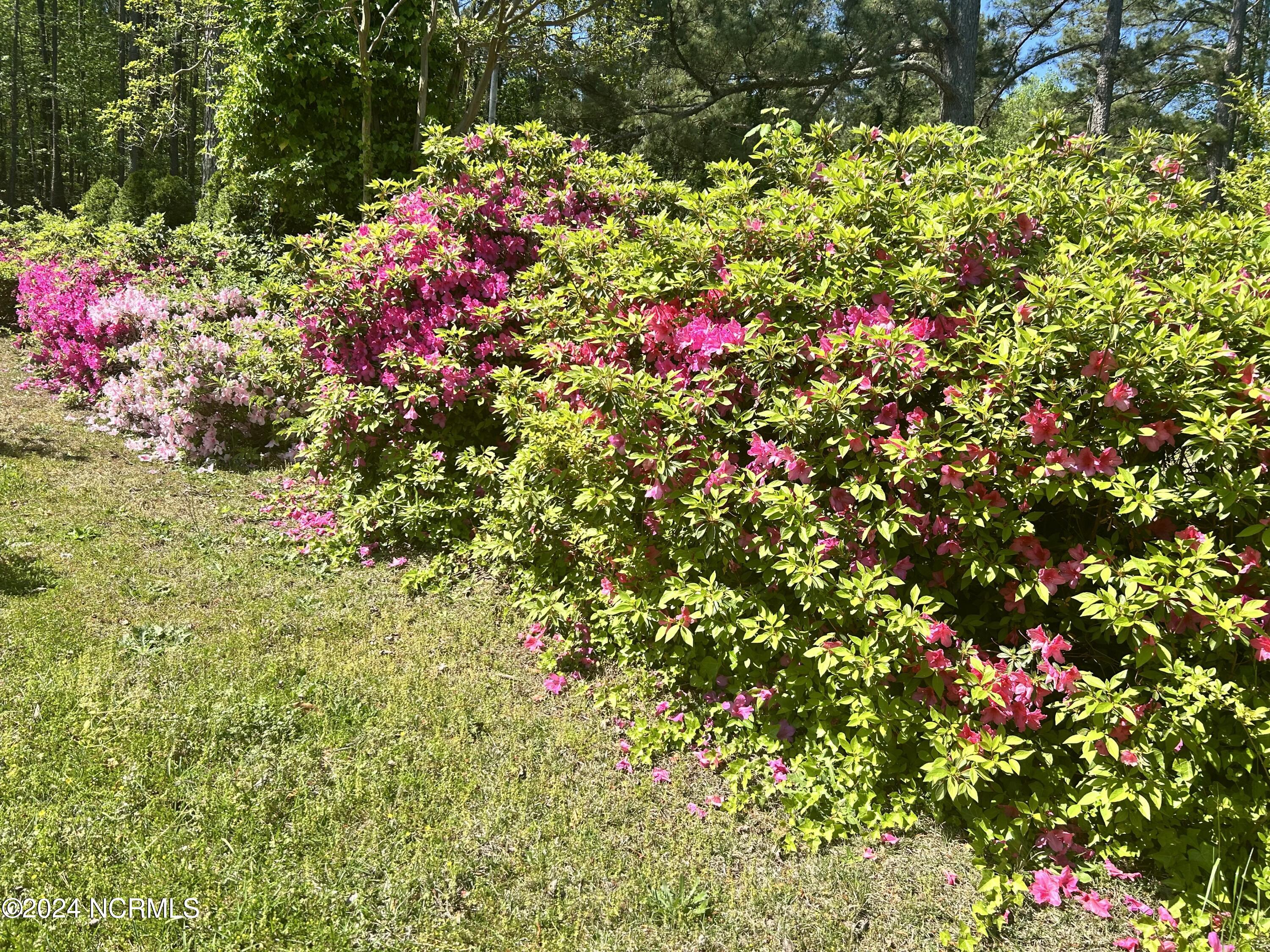 4124 Wiggins Mill Road Wilson, NC 27893 - Photo 12 of 30 IMG_8937