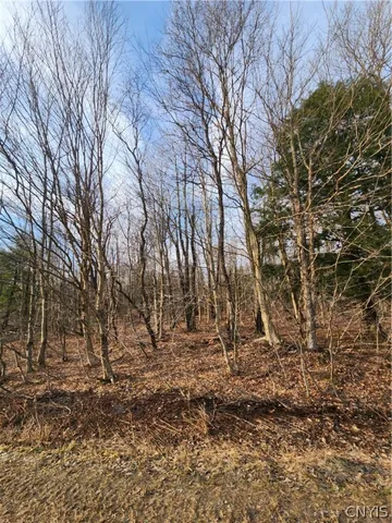 $57,000 | 0 Jess Drive, Redfield, NY 13437