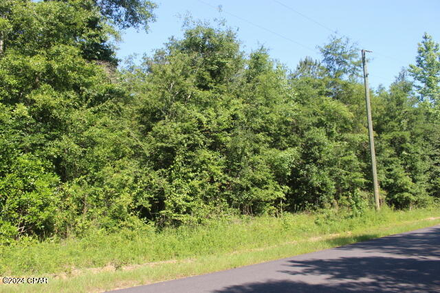 0 Sylvania Road Vernon, FL 32462 - Photo 5 of 8 Gallery Image 5
