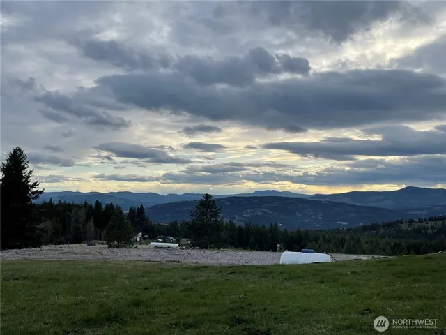 a view of grassy field with trees