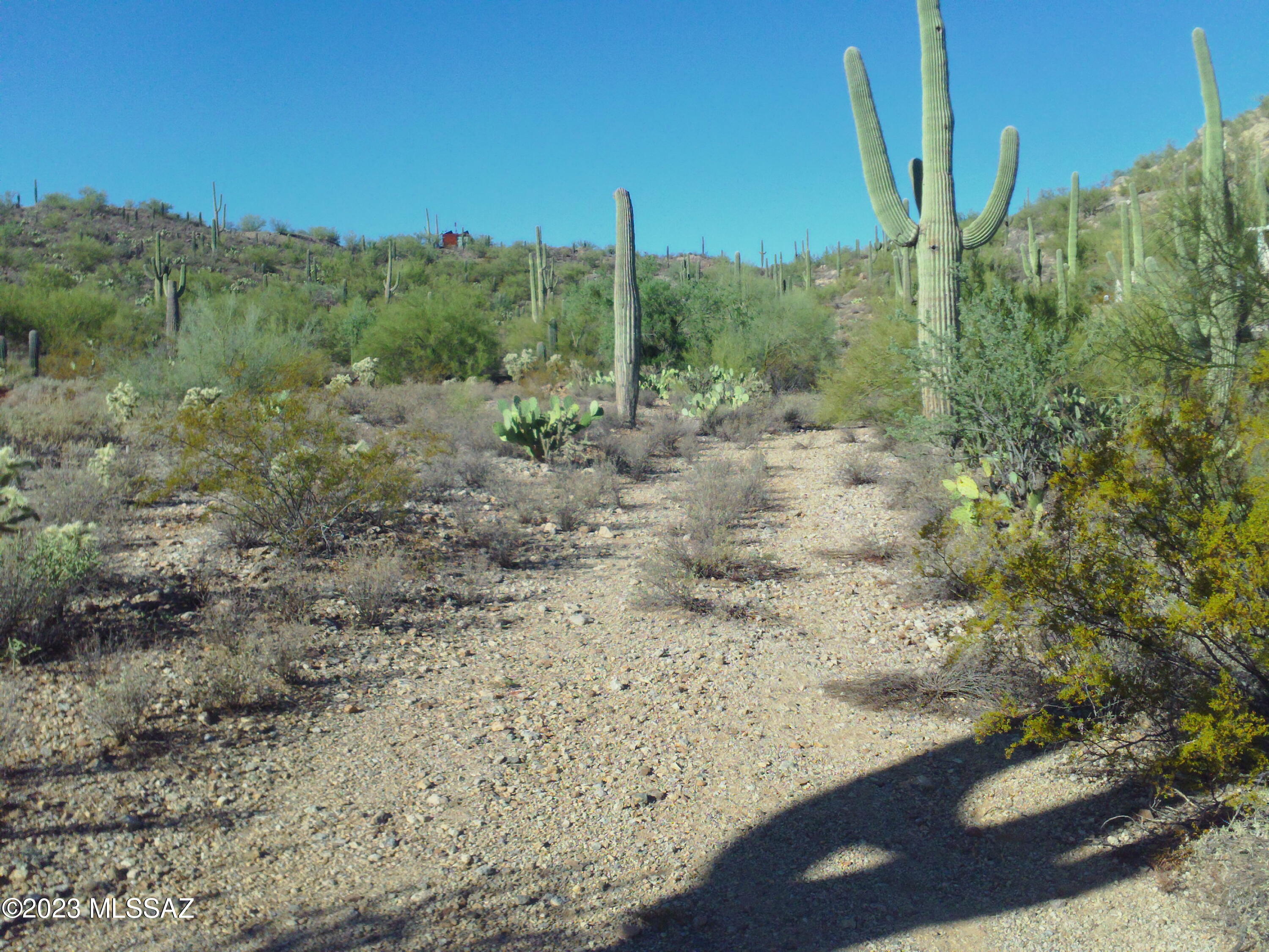 9930 West Picture Rocks Road Tucson, AZ 85743 - Photo 9 of 34 Gallery Image 9