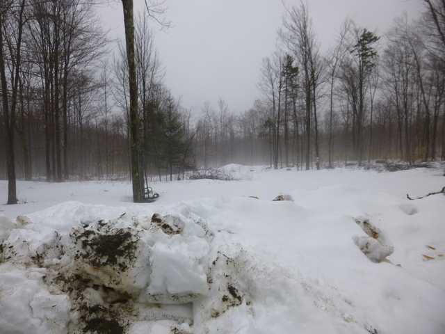 1833 Industry Road Industry, ME 04938 - Photo 14 of 22 Land/Lot.