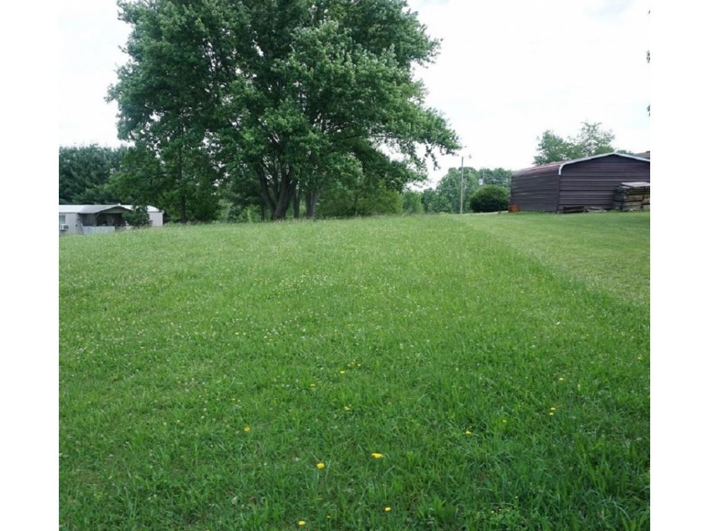 Large Level back yard