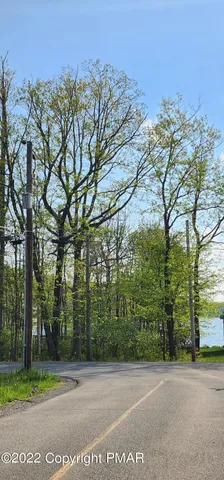 a view of a trees with a yard