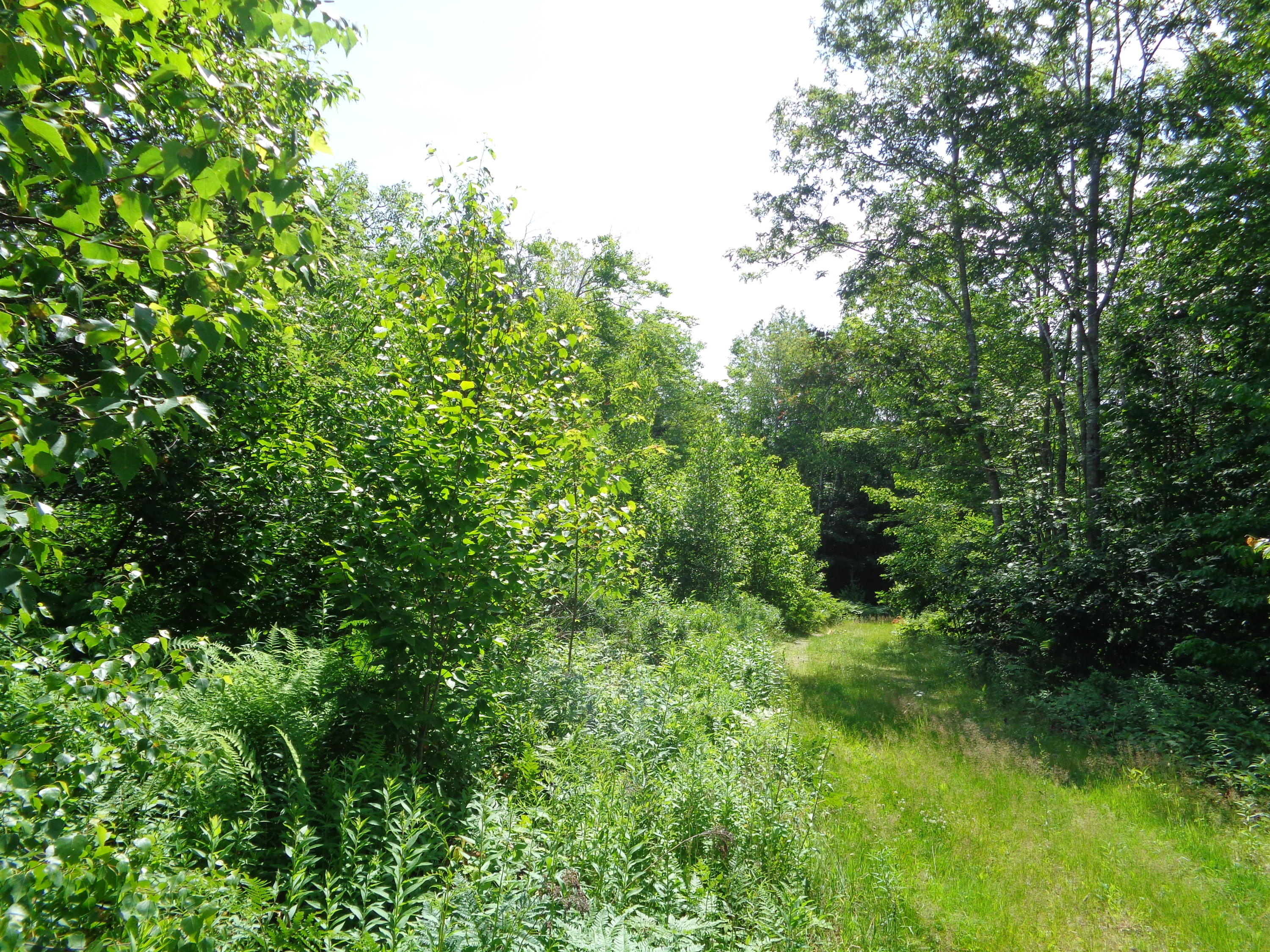 0 Jones Road Wiscasset, ME 04578 - Photo 15 of 15 lot