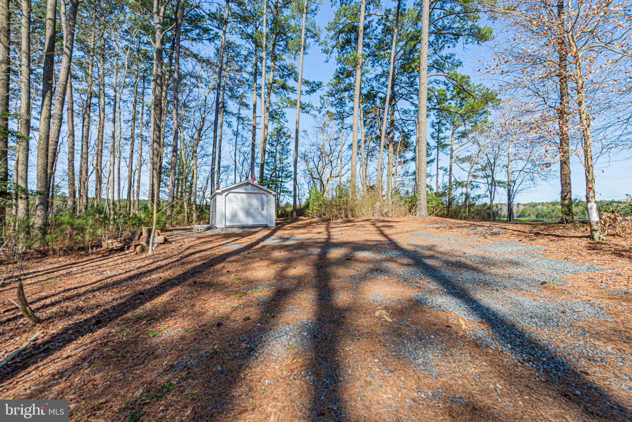 4550 Stockton Road Pocomoke City, MD 21851 - Photo 24 of 30 Gallery Image 24