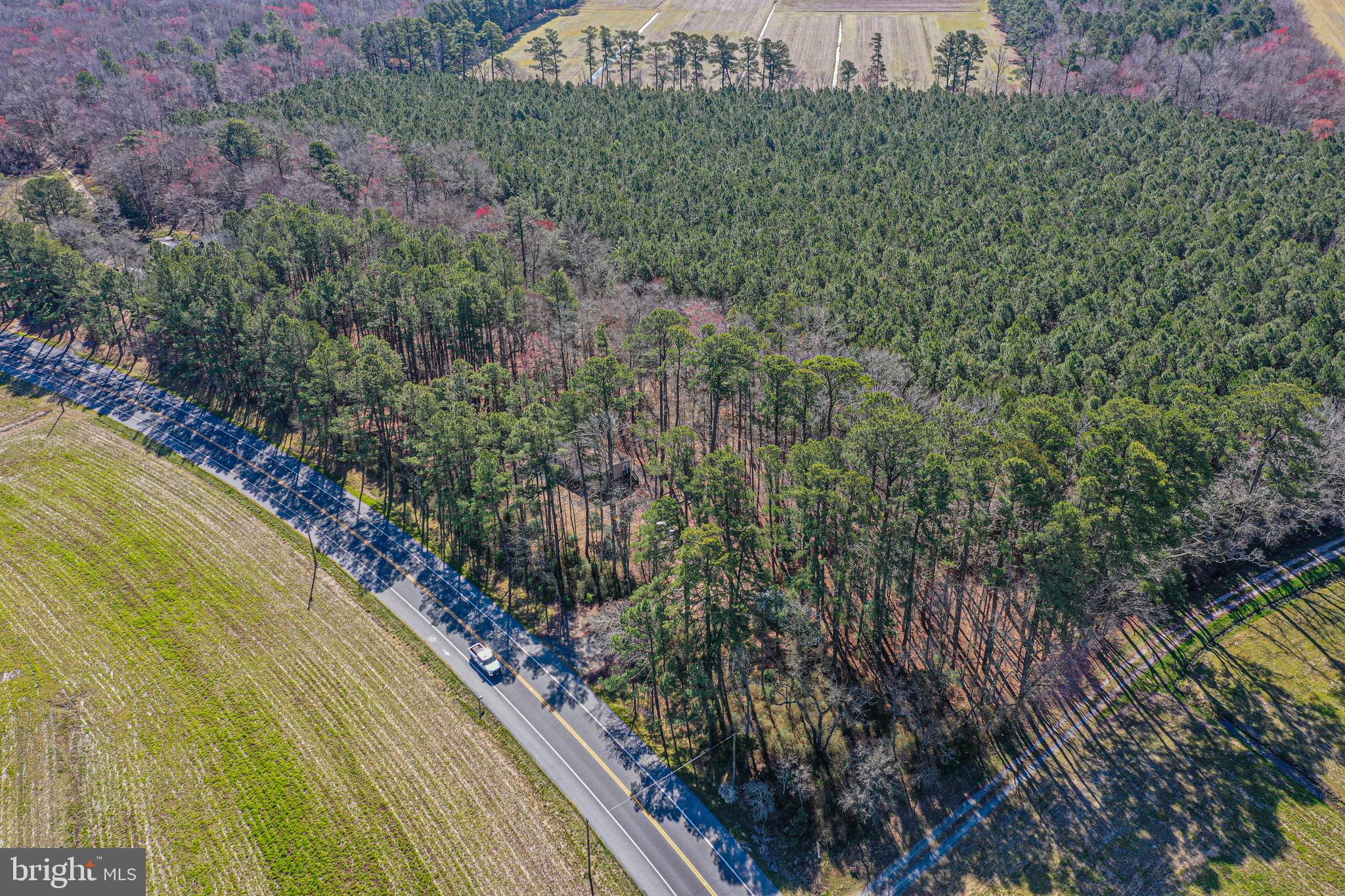 4550 Stockton Road Pocomoke City, MD 21851 - Photo 30 of 30 Gallery Image 30