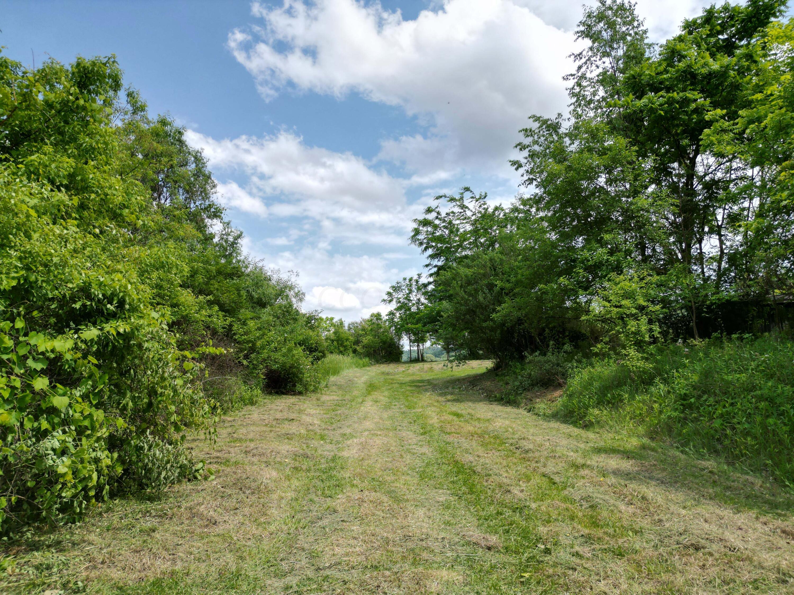 0 Schoolhouse Road Frazeysburg, OH 43822 - Photo 16 of 31 DJI_0576