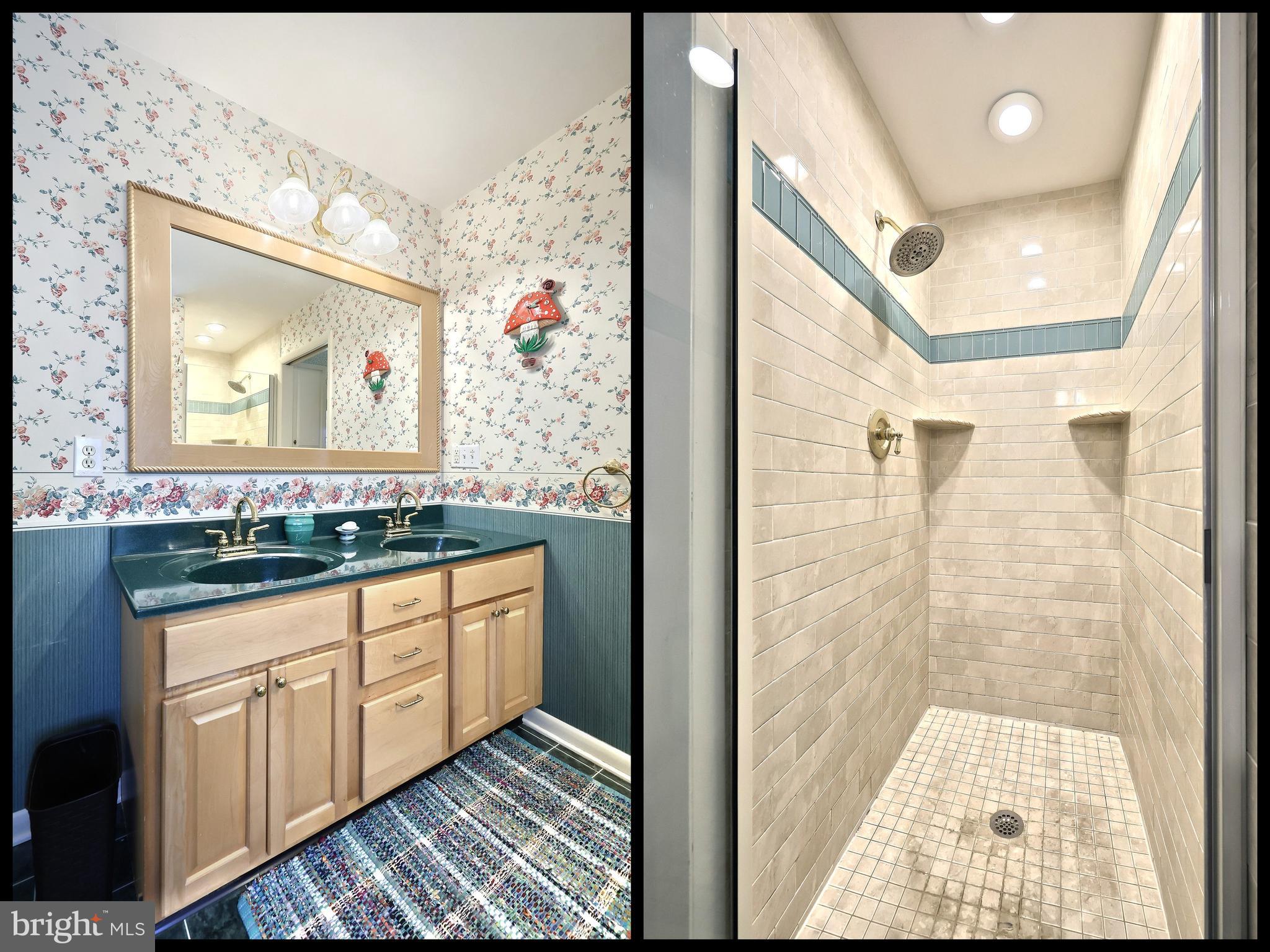 4204 Grandview Road Hanover, PA 17331 - Photo 45 of 77 a bathroom with a granite countertop sink a mirror and a shower
