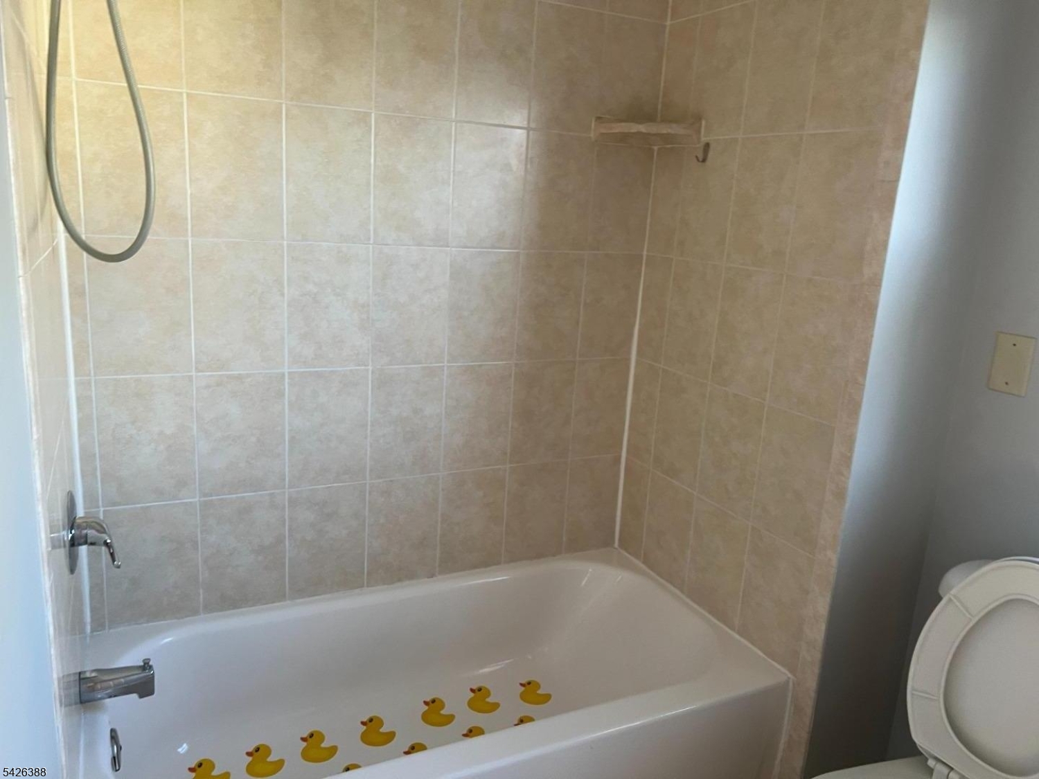 104 West High Street Somerville, NJ 08876 - Photo 7 of 19