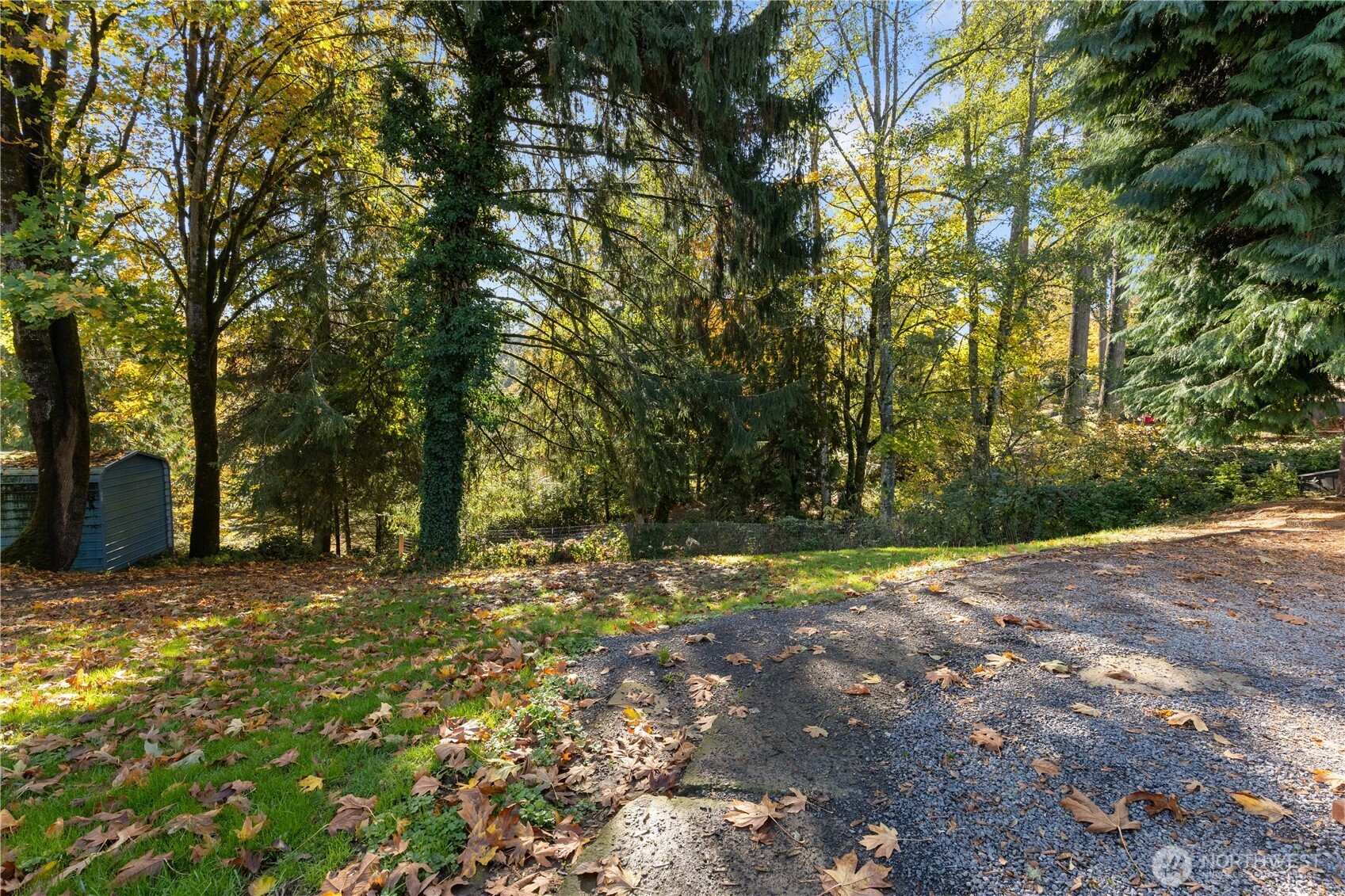 312 Nevada Drive Longview, WA 98632 - Photo 24 of 27 a view of a yard with trees in front of it
