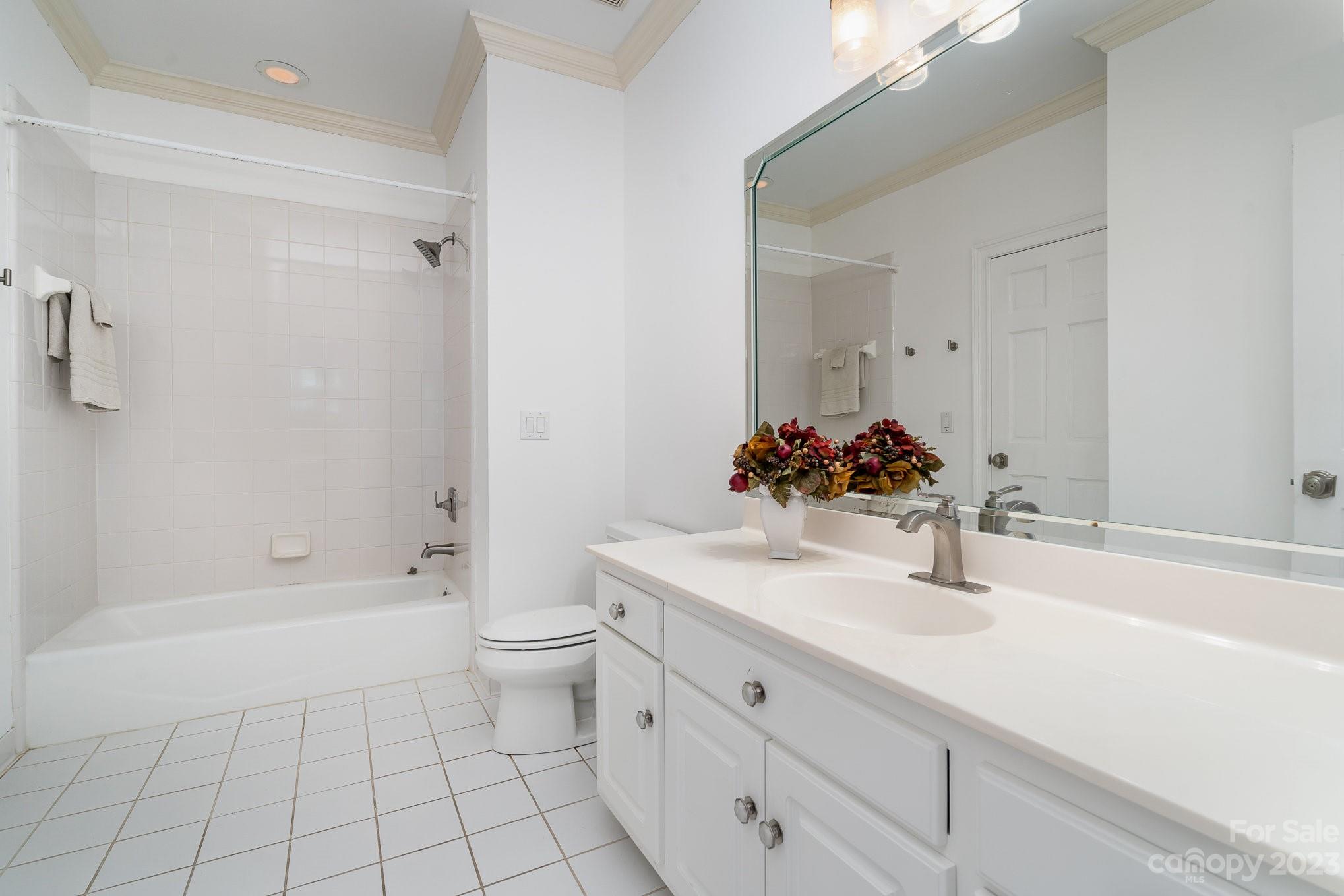6535 Seton House Lane Charlotte, NC 28277 - Photo 29 of 48 a bathroom with a sink a toilet and shower