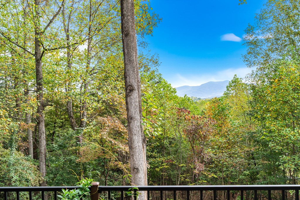 82 Hebron Way Young Harris, GA 30582 - Photo 31 of 53