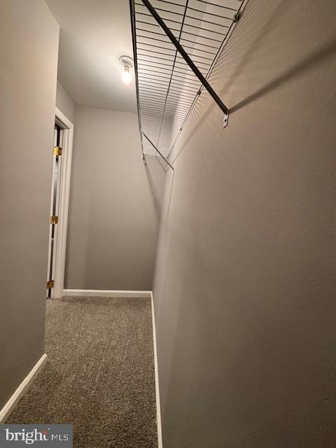 7912 Riggs Road Hyattsville, MD 20783 - Photo 36 of 40 Walk in closet/storage room space in Bsm't Bedroom