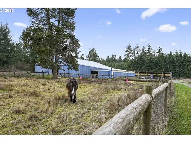 a terrace view with two chairs