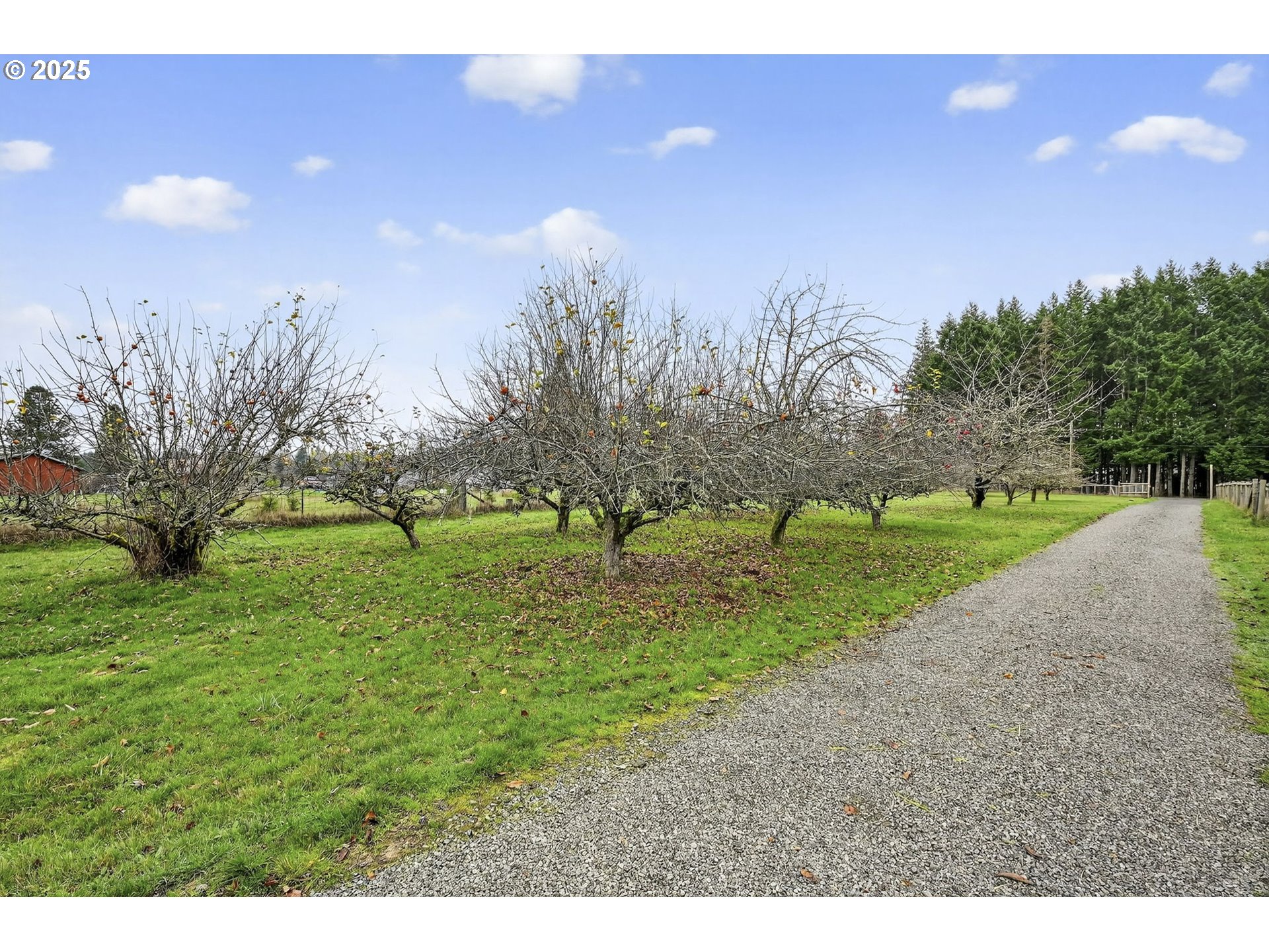 416 Coulson Road Chehalis, WA 98532 - Photo 44 of 46 a view of a park