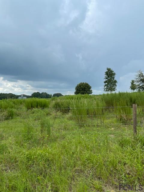 140-ave Southwest 40th Terrace Ocala, FL 34471 - Photo 2 of 3
