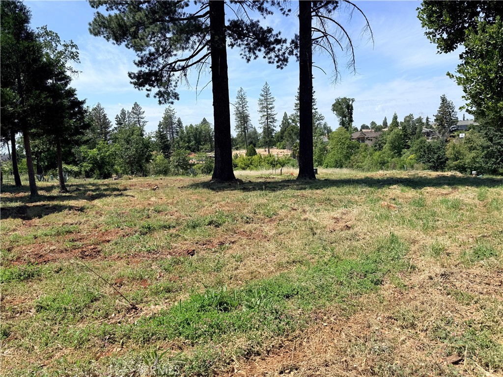 5476 Foster Road Paradise, CA 95969 - Photo 5 of 11